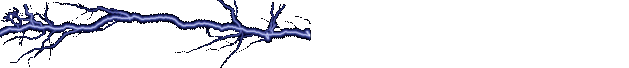 hutchison effect John lightning